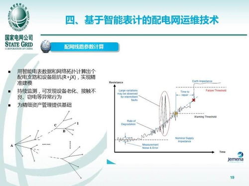 中國電力科學研究院 欒文鵬 基于智能表計的配電網運維技術