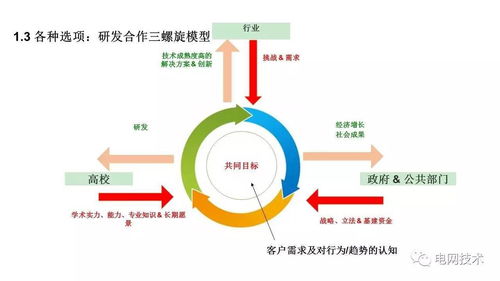 中國電力科學(xué)研究院 范明天 CIRED 2017 S5配電系統(tǒng)規(guī)劃技術(shù)交流情況