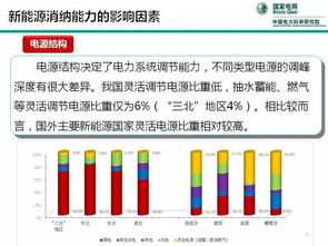 中國電科院王偉勝 關于新能源消納能力的思考