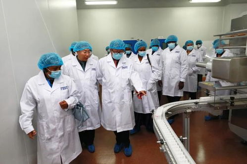 51位非洲駐華使節和高級外交官訪問國藥集團中國生物北京生物制品研究所